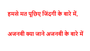 हमसे मत पूछिए जिंदगी के बारे में, अजनबी क्या जाने अजनबी के बारे में